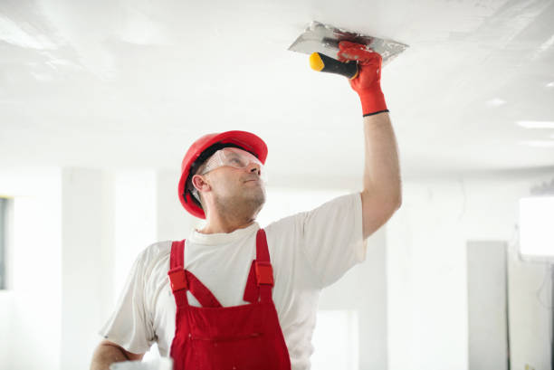 Professional Drywall and Painting Service in Citrus Park, FL